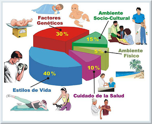 FACTORES QUE AFECTAN LA SALUD


